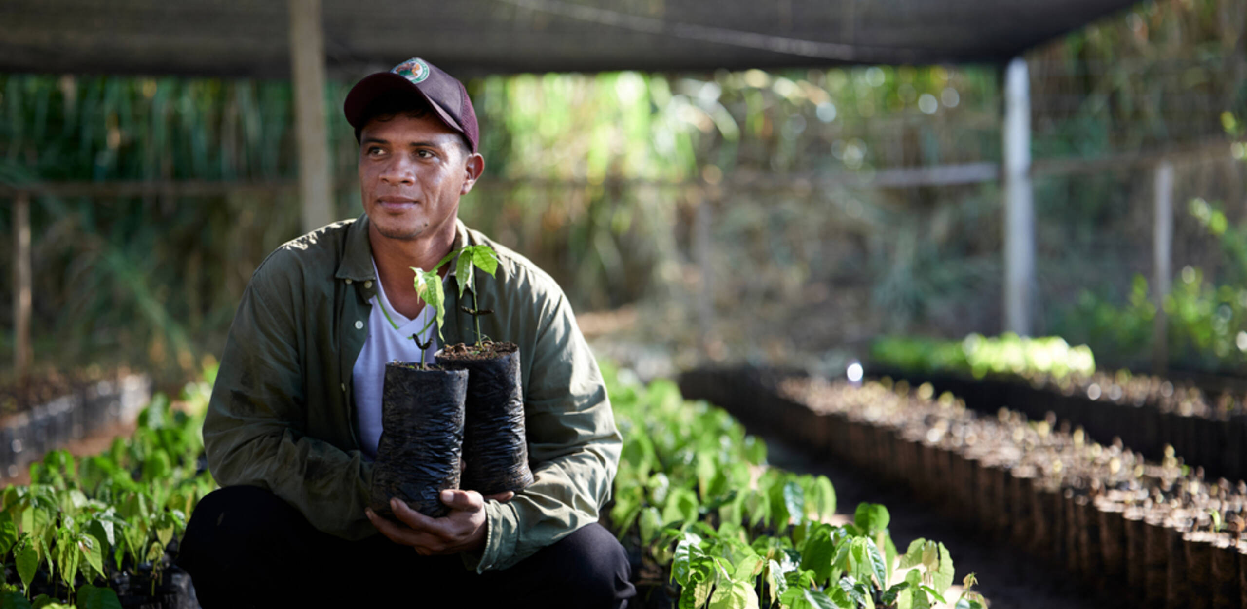 Seedlings for the Bolivian rainforest: the targeted cultivation of mixed
crops ensures a sustainable harvest for local farmers.