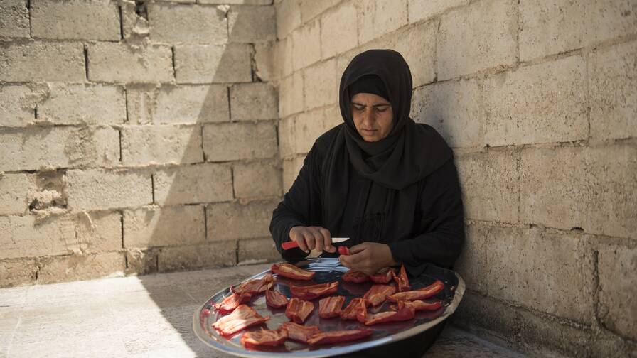Per guadagnare almeno qualcosina, Fatima lavora la frutta e gli ortaggi. 