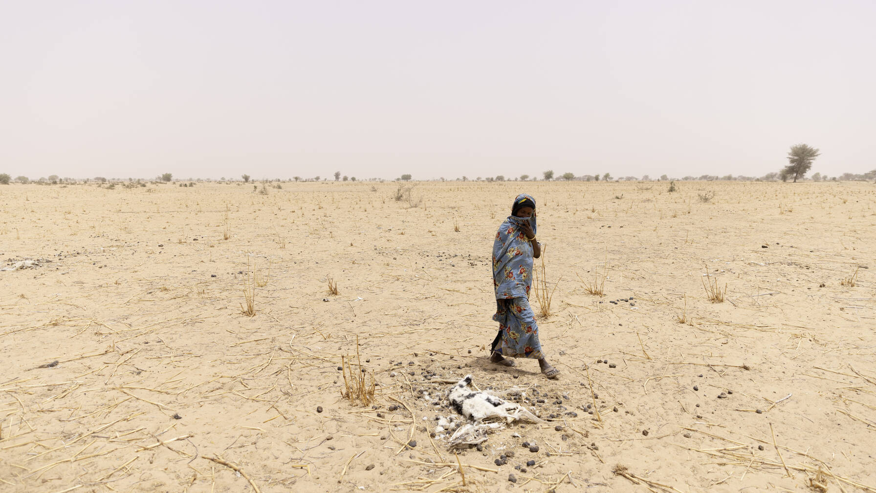 Il Ciad ha vissuto un anno segnato da eventi climatici estremi. Dopo un’ondata di caldo intenso e la peggiore siccità degli ultimi 40 anni, sono arrivate inondazioni devastanti.