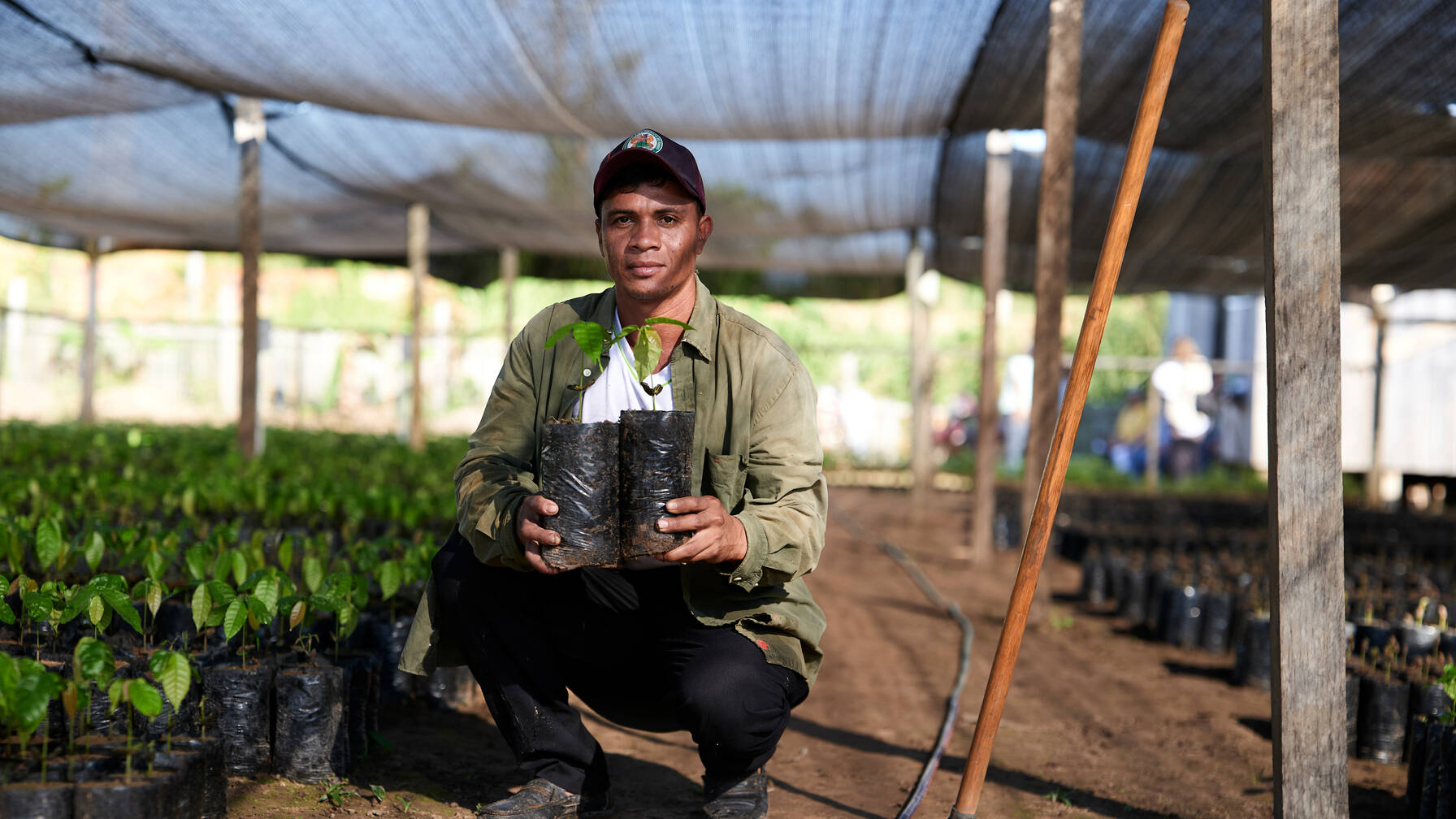 Un entrepreneur bolivien est à genoux parmi ses jeunes plants.