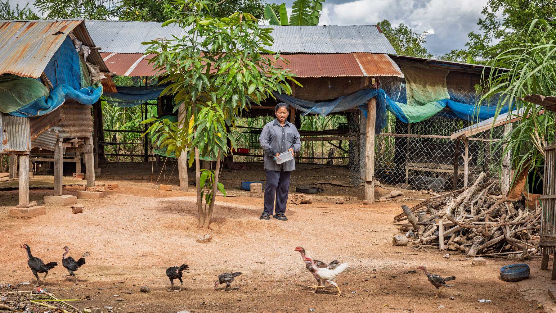 Mit Leidenschaft halten die beiden verschiedene Tiere, die sie teilweise auch verkaufen: Hühner, Frösche und Heuschrecken.