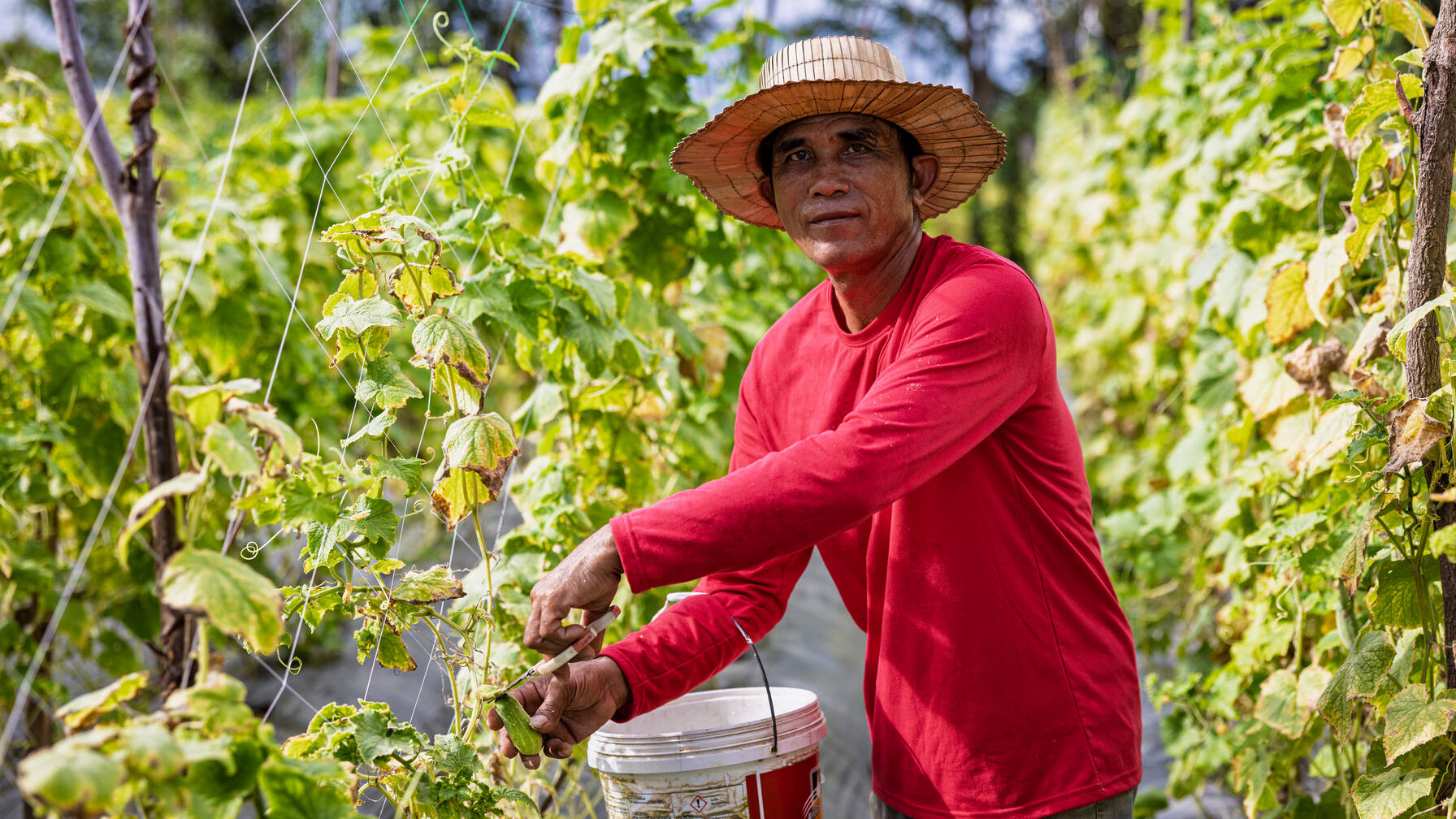 Romodol und Sophea stehen täglich gemeinsam im Gemüsegarten und pflegen die Pflanzen gemeinsam.