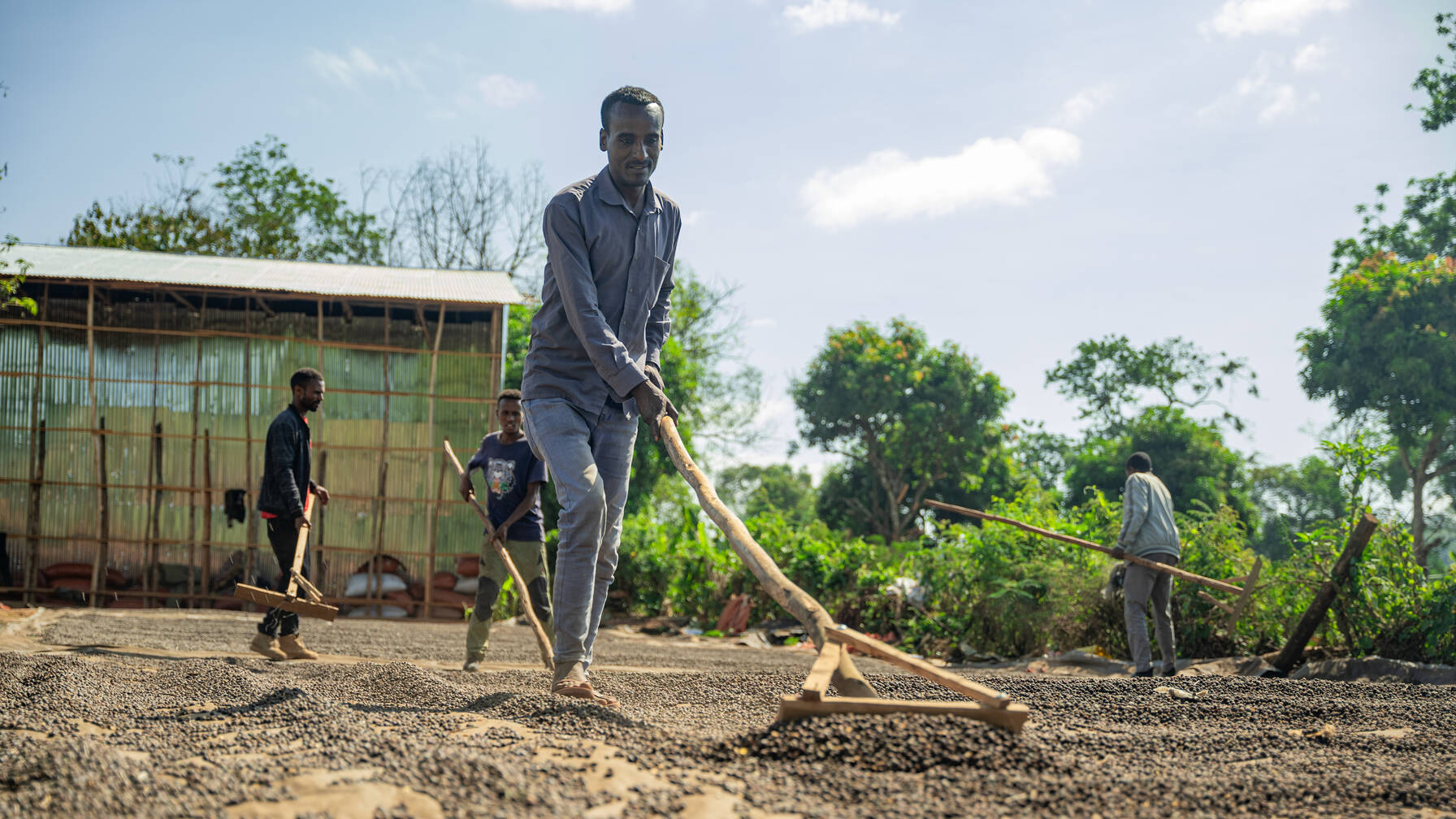 Through the «Beyond Bale Wild» project, we are fostering climate-resilient, inclusive, and sustainable livelihoods for smallholder farmers in Ethiopia’s Bale region.