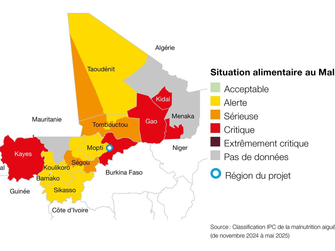 La situation alimentaire au Mali