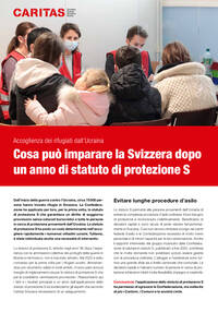 Factsheet «Cosa può imparare la Svizzera dopo un anno di statuto di protezione S»