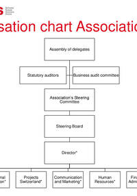 Organisation Chart of Association Caritas Switzerland
