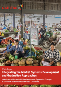 to Advance Household Resilience and Systemic Change in Conflict and Protracted Crisis Contexts