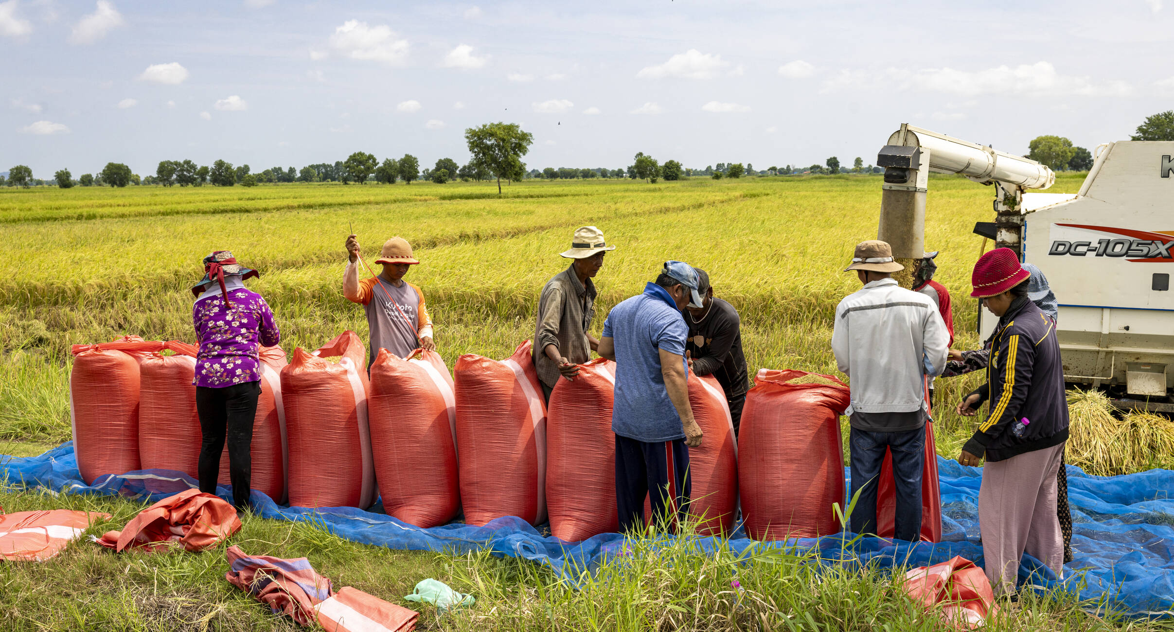 Nurture Nurturing Climate Resilience In Cambodia Caritas Switzerland nurture-nurturing-climate-resilience-in-cambodia-caritas-switzerland