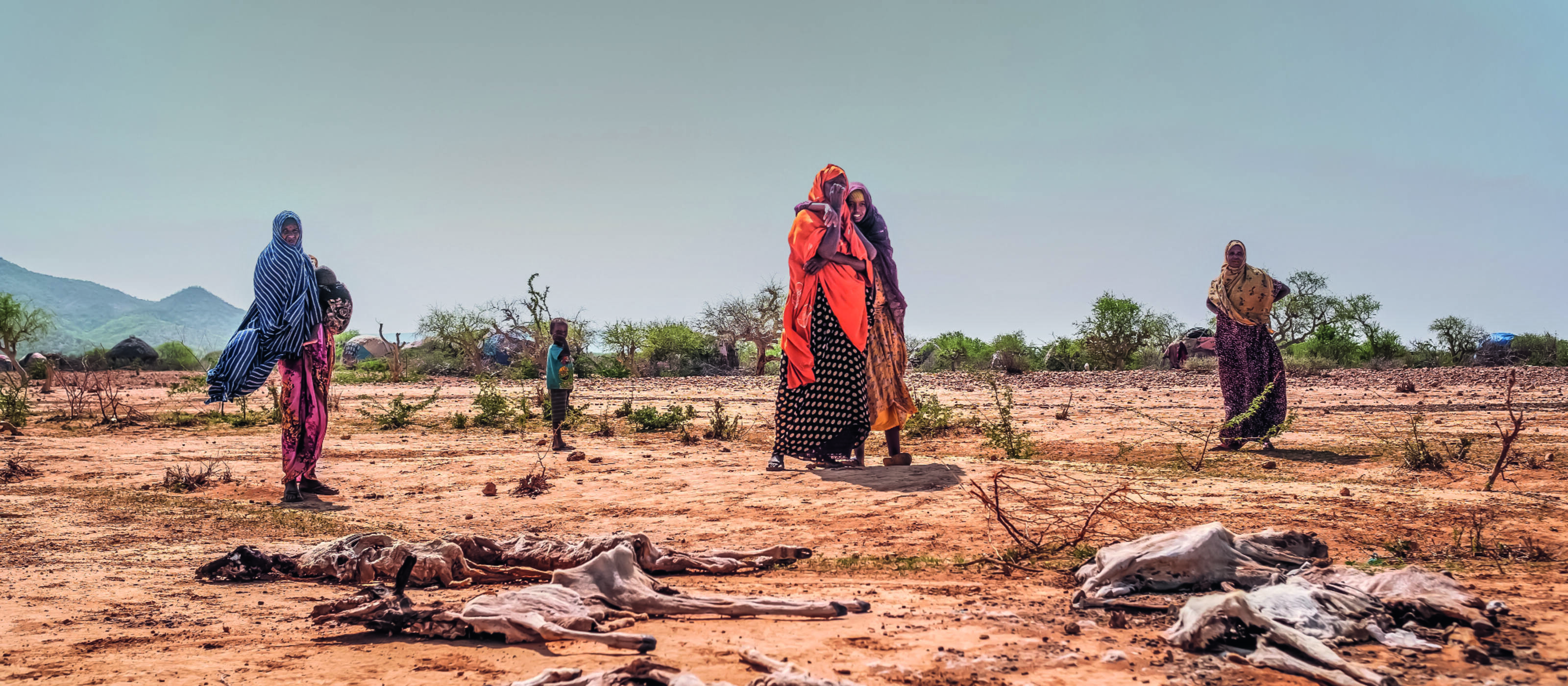Die schlimmste Dürre seit über 40 Jahren ist die Folge der Klimaerhitzung, welche die Ärmsten am meisten trifft.