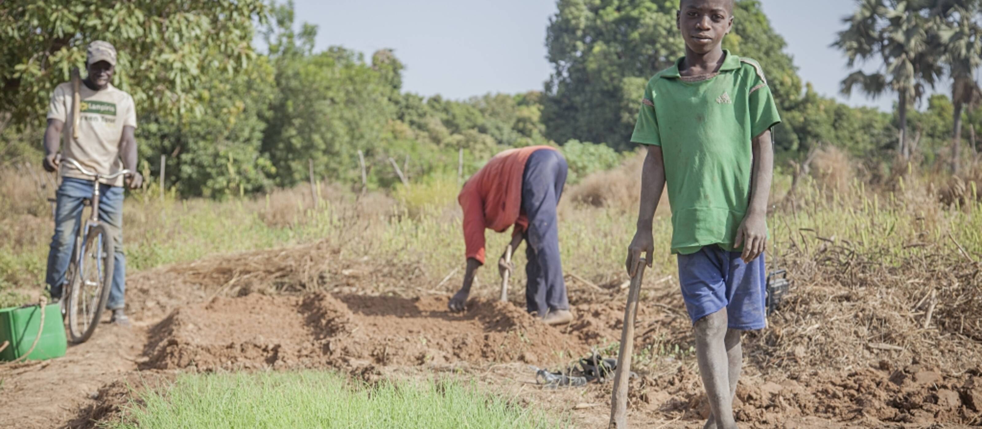 Sécurité alimentaire malgré le changement climatique - culture écologique en Ouganda