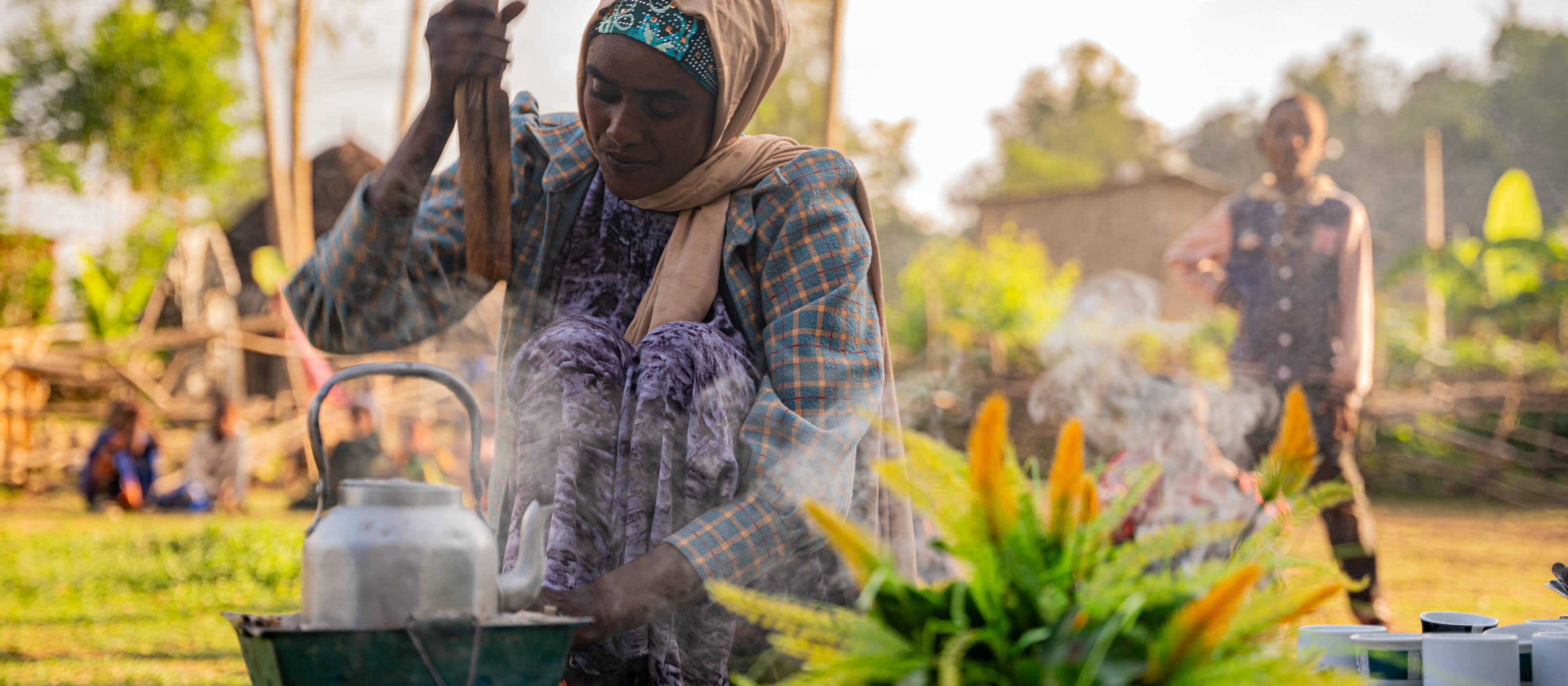 Coffee cultivation provides an important livelihood for many farmers in Ethiopia.