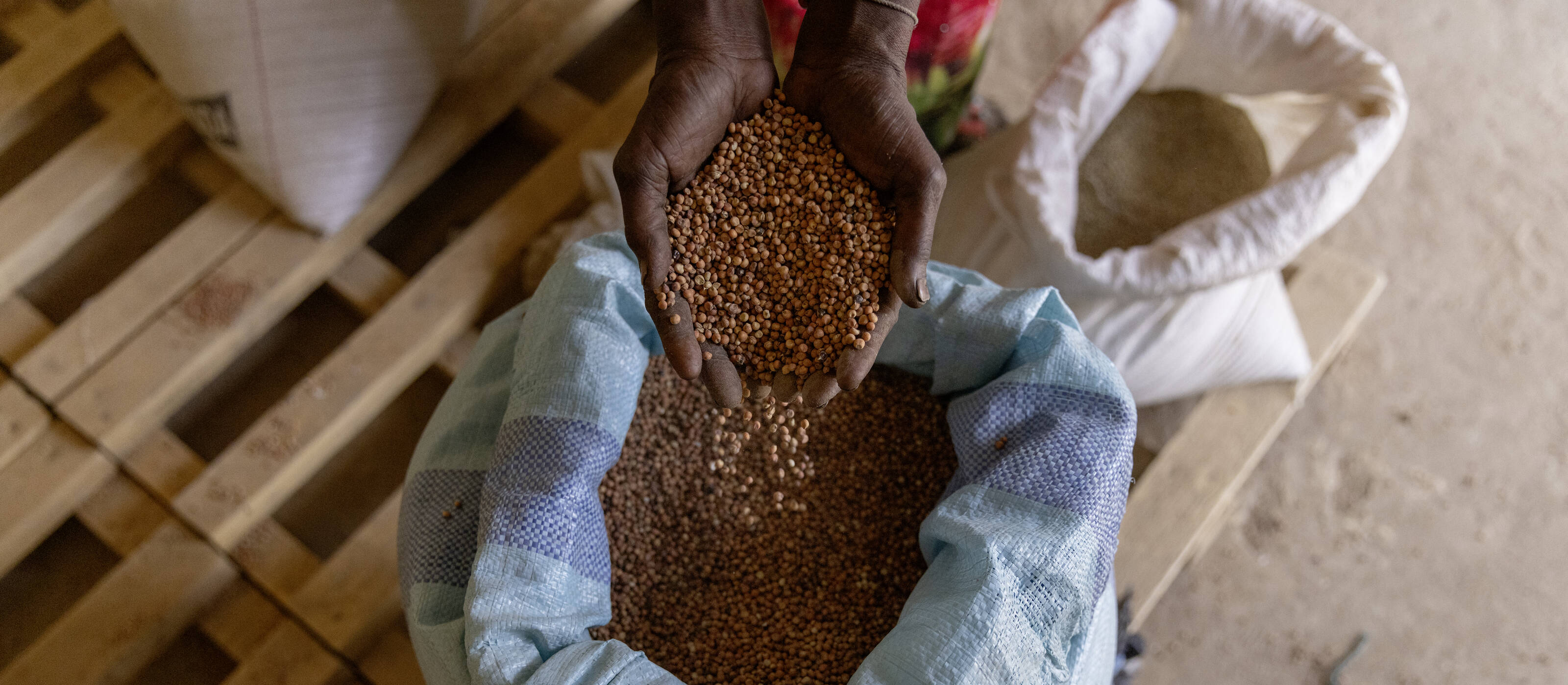 Selon le nouveau rapport de l'ONU, plus de 730 millions de personnes souffrent de la faim dans le monde.