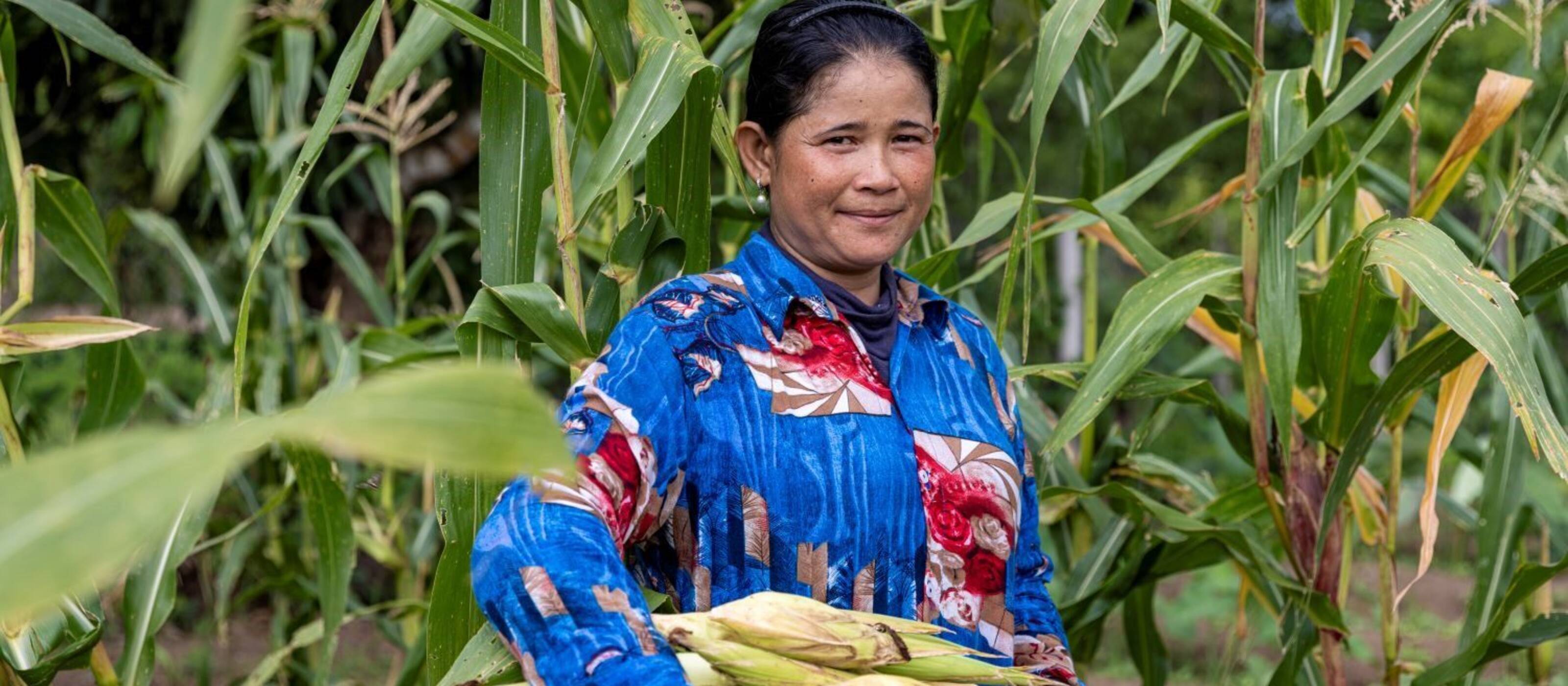 Enhancing the resilience of their agroecosystem to climate change is crucial for farmers and vulnerable communities; Cambodia