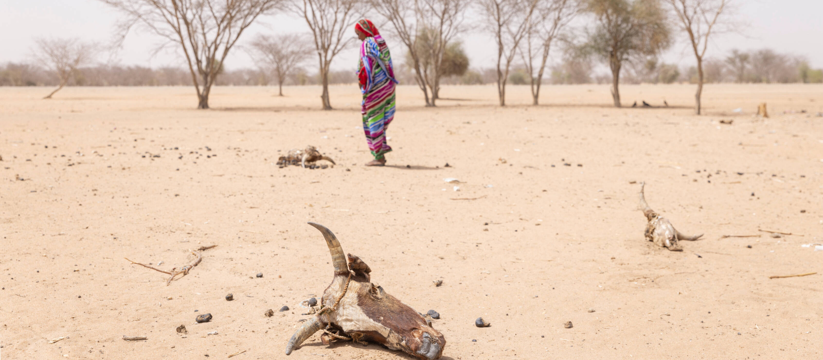 Der Klimawandel im zentralafrikanischen Tschad hat bereits jetzt existenzielle Folgen für die Bevölkerung, etwa wegen der Dürre in der Region Batha in diesem Frühjahr.