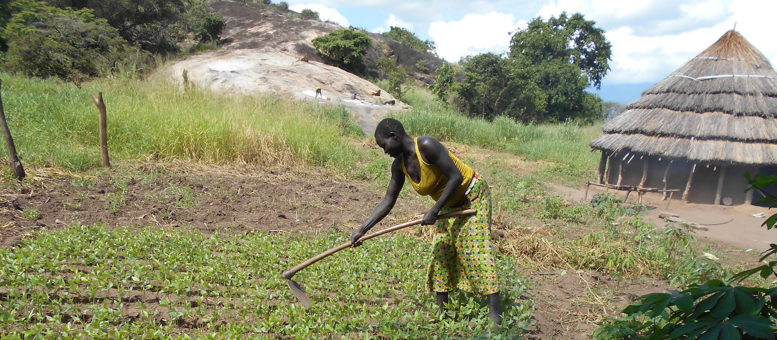 Die Landwirtschaft ist der wichtigste wirtschaftliche Sektor im Südsudan.
