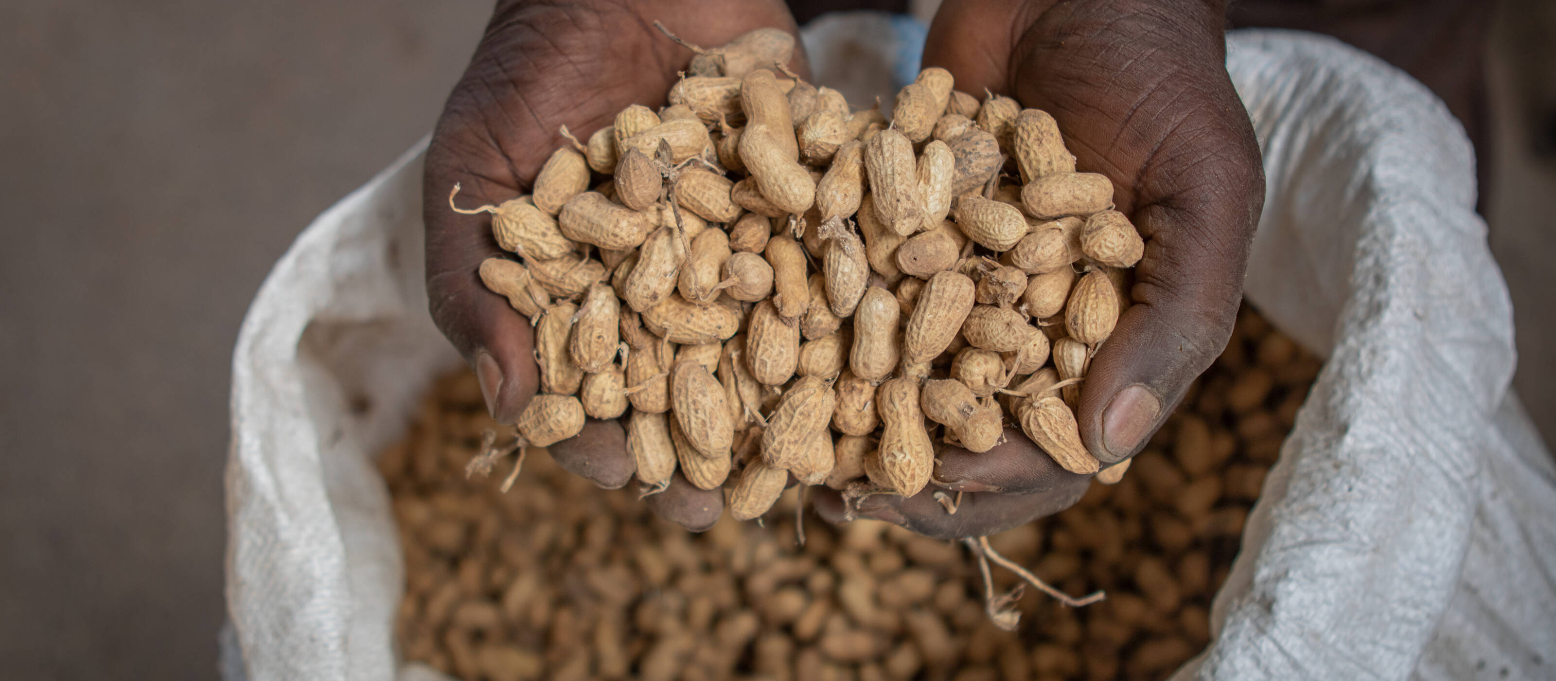 Food security has also deteriorated significantly in Mali.