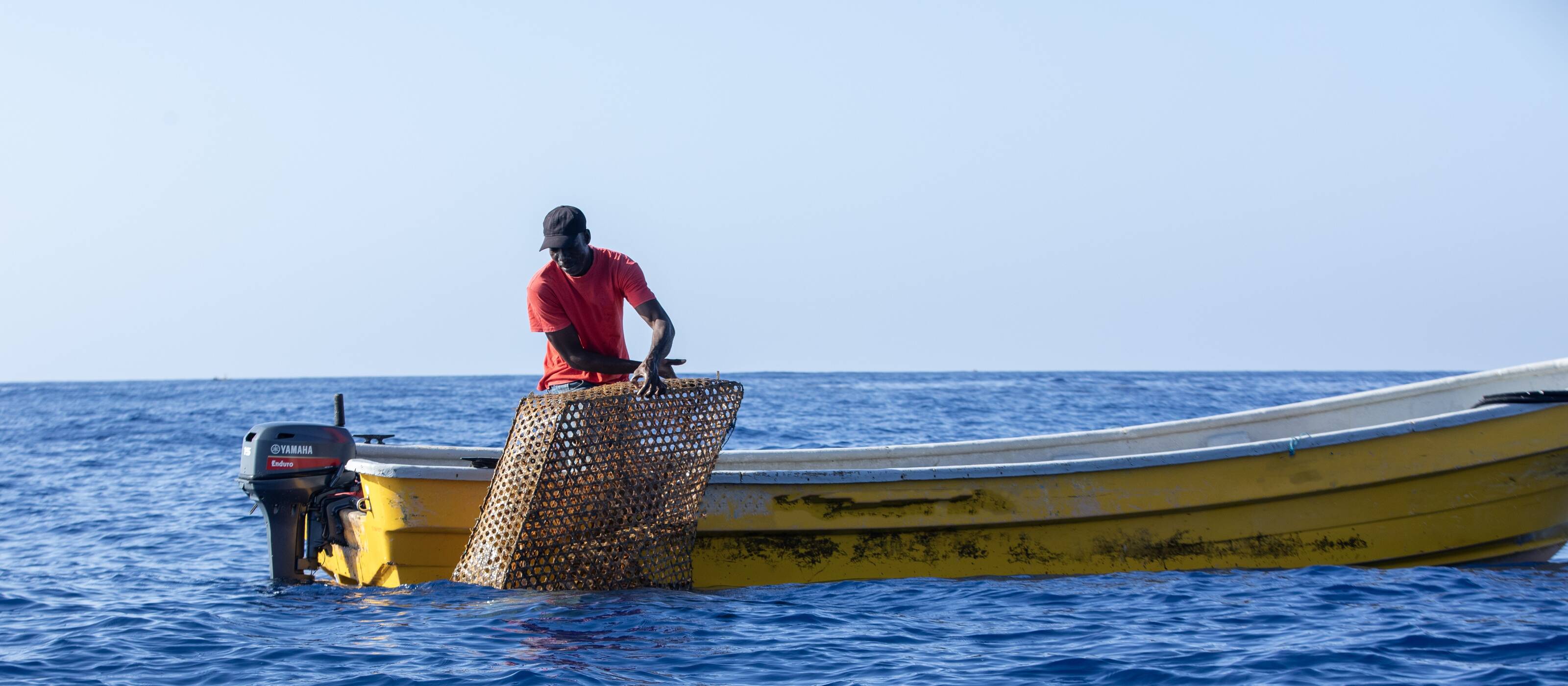 Une pêche sélective qui préserve les stocks halieutiques, de l’énergie solaire pour refroidir et conserver le poisson et de meilleures conditions pour la vente créent de nouvelles opportunités pour les habitants de Belle-Anse en Haïti.