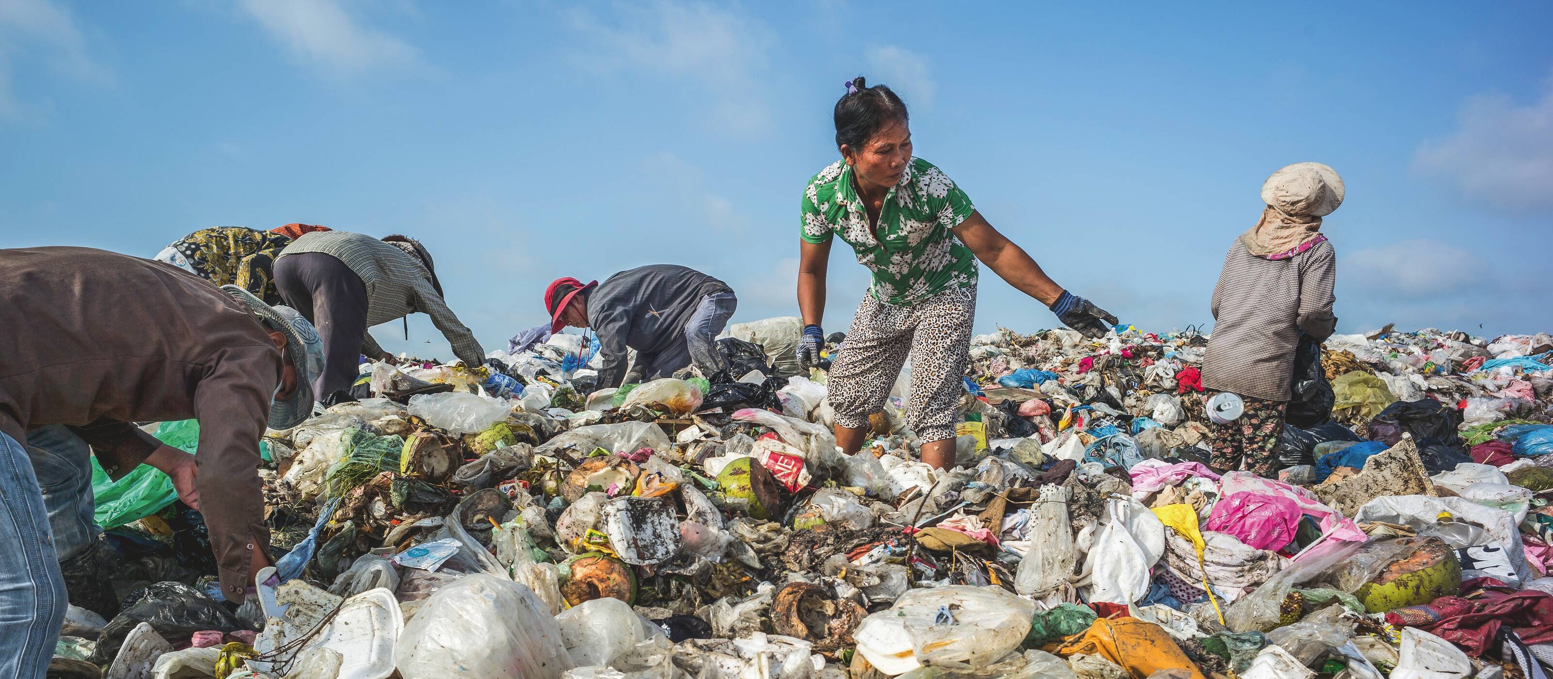 Nein, das ist keine Ernte.