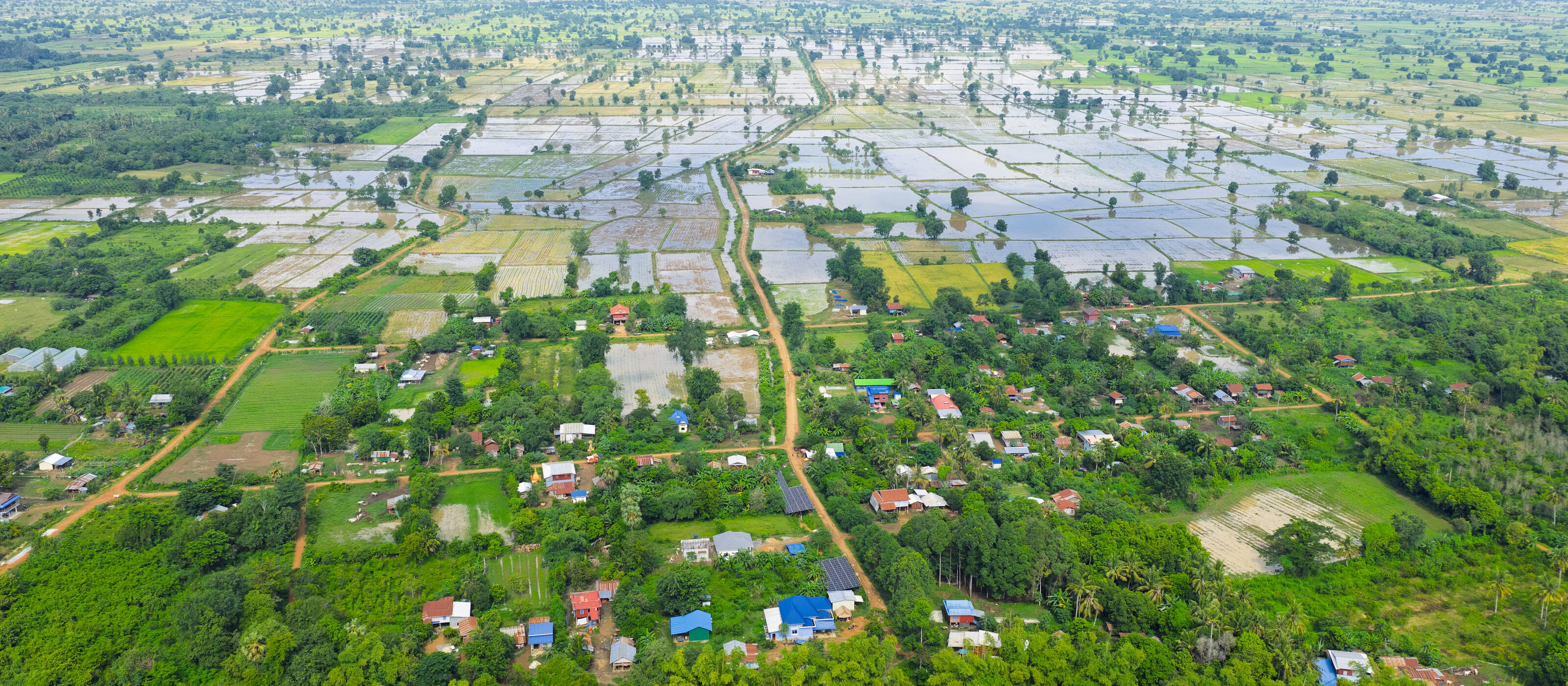 Nel Nord della Cambogia, il cambiamento climatico sta mettendo a dura prova la coltivazione di riso che richiede un elevato consumo di acqua. È sempre più difficile guadagnarsi da vivere: servono nuove soluzioni.