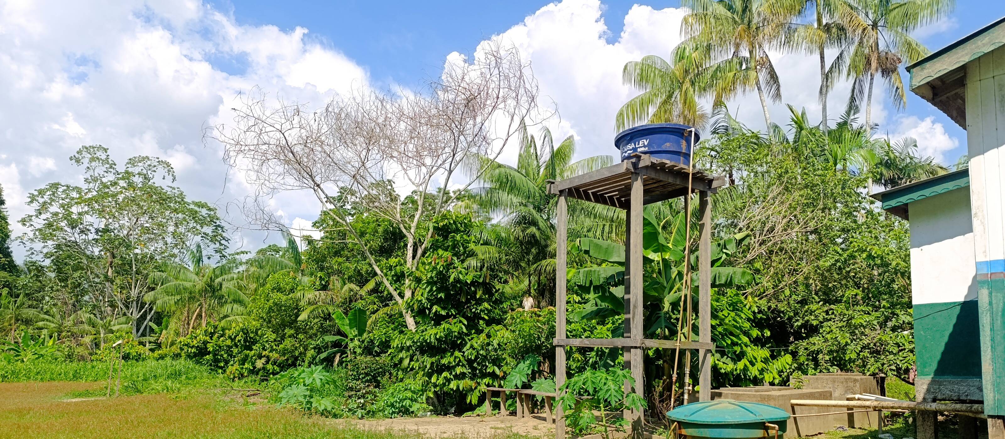 Collecter l'eau de pluie en Amazonie