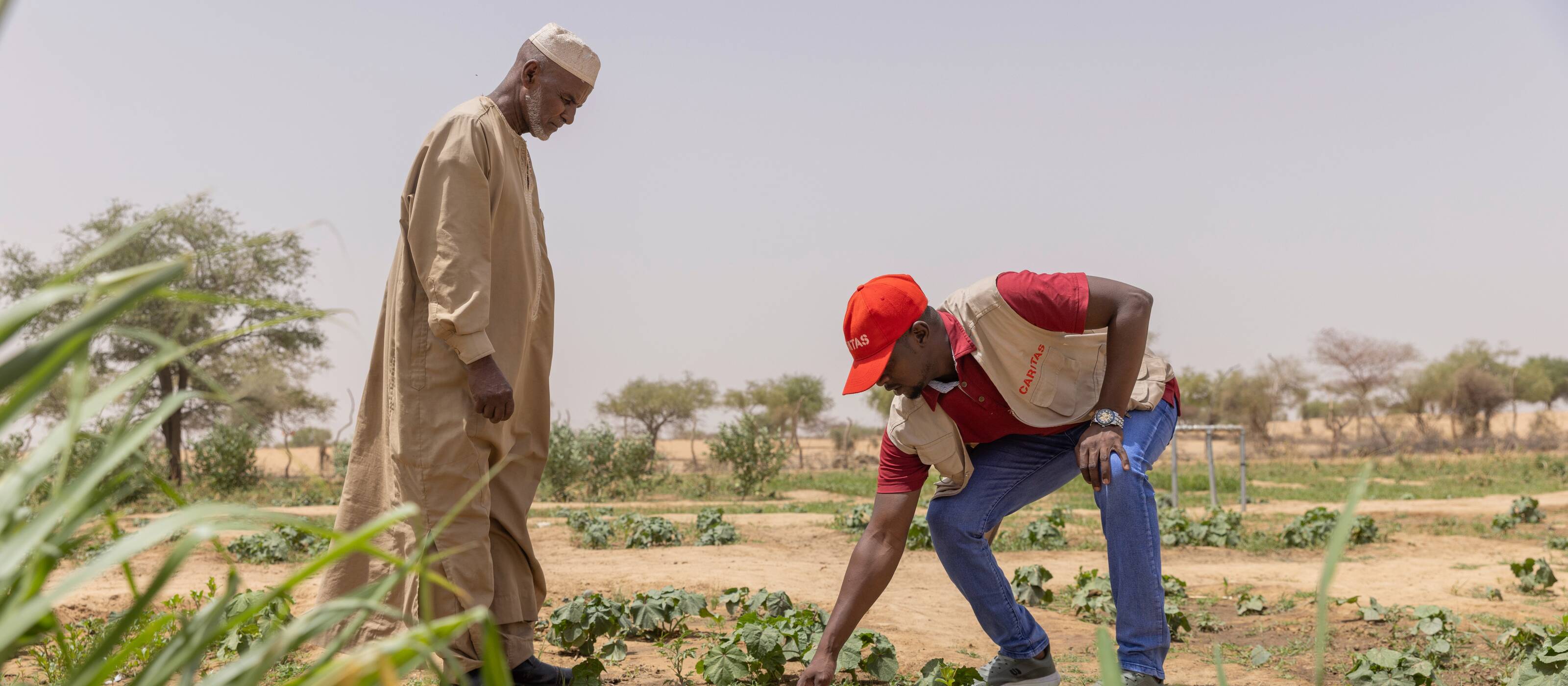 Un collaborateur de Caritas Suisse et un agriculteur se trouvent dans un champ au Tchad.