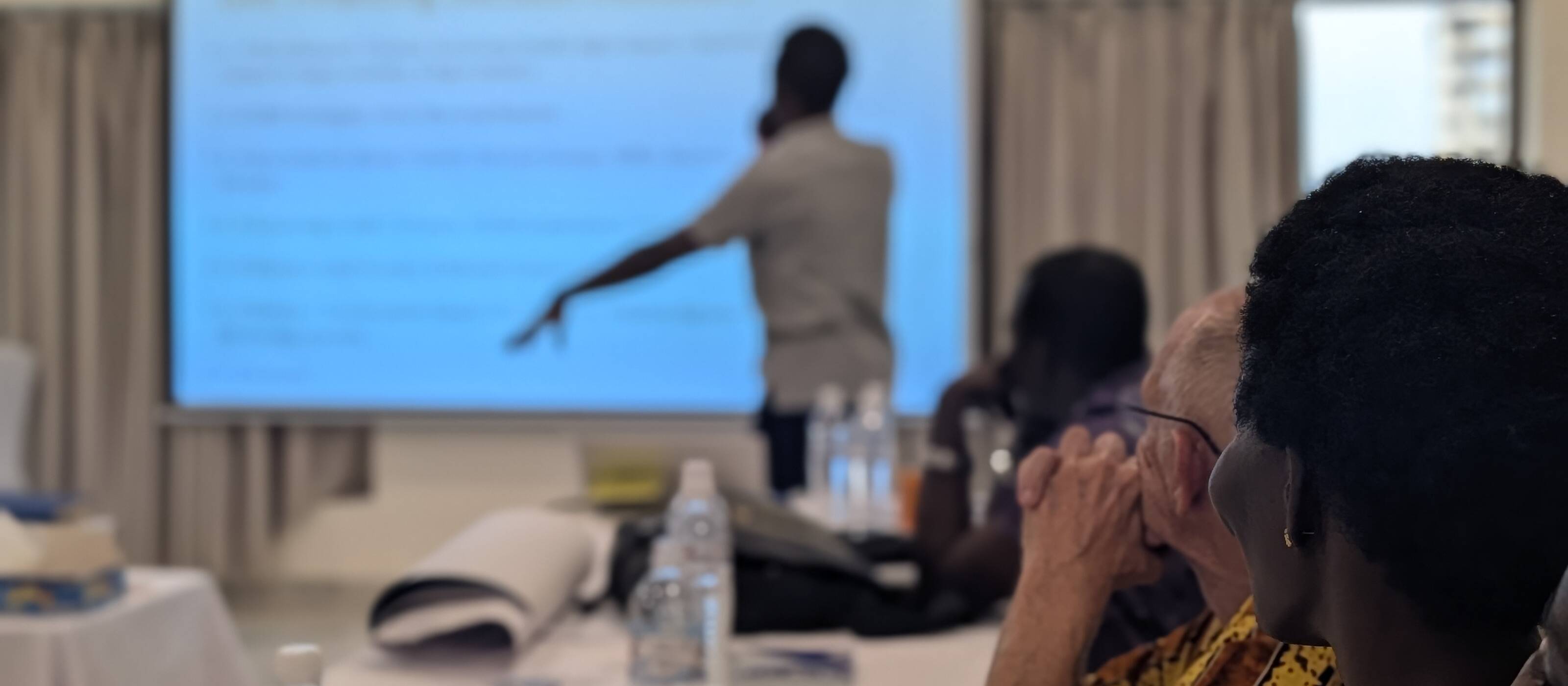 Emmanuel Ocen, SMAC+ Project Team Lead, delivering the final word and closing the training.