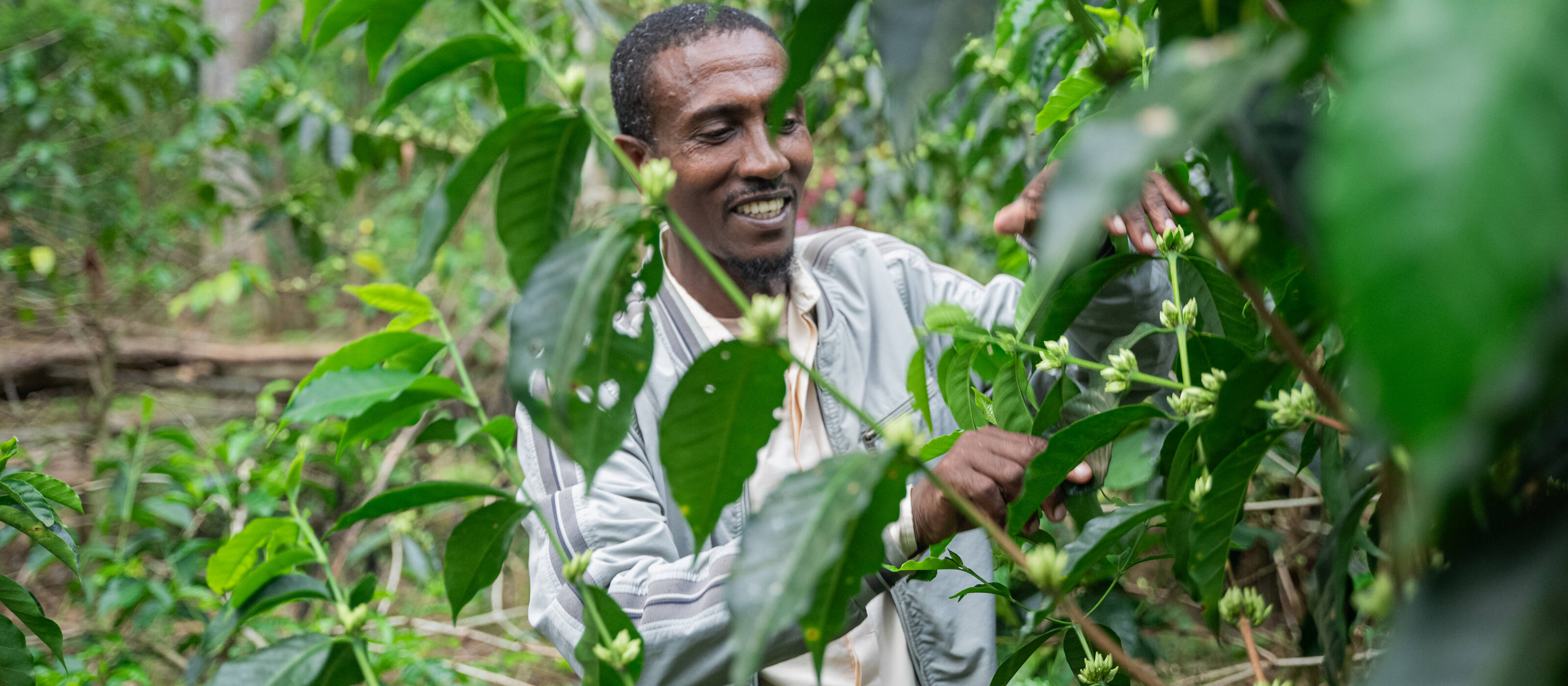 Through the Beyond Bale Wild project, we are helping to strengthen the resilience of communities in the Bale region against climate change and poverty.