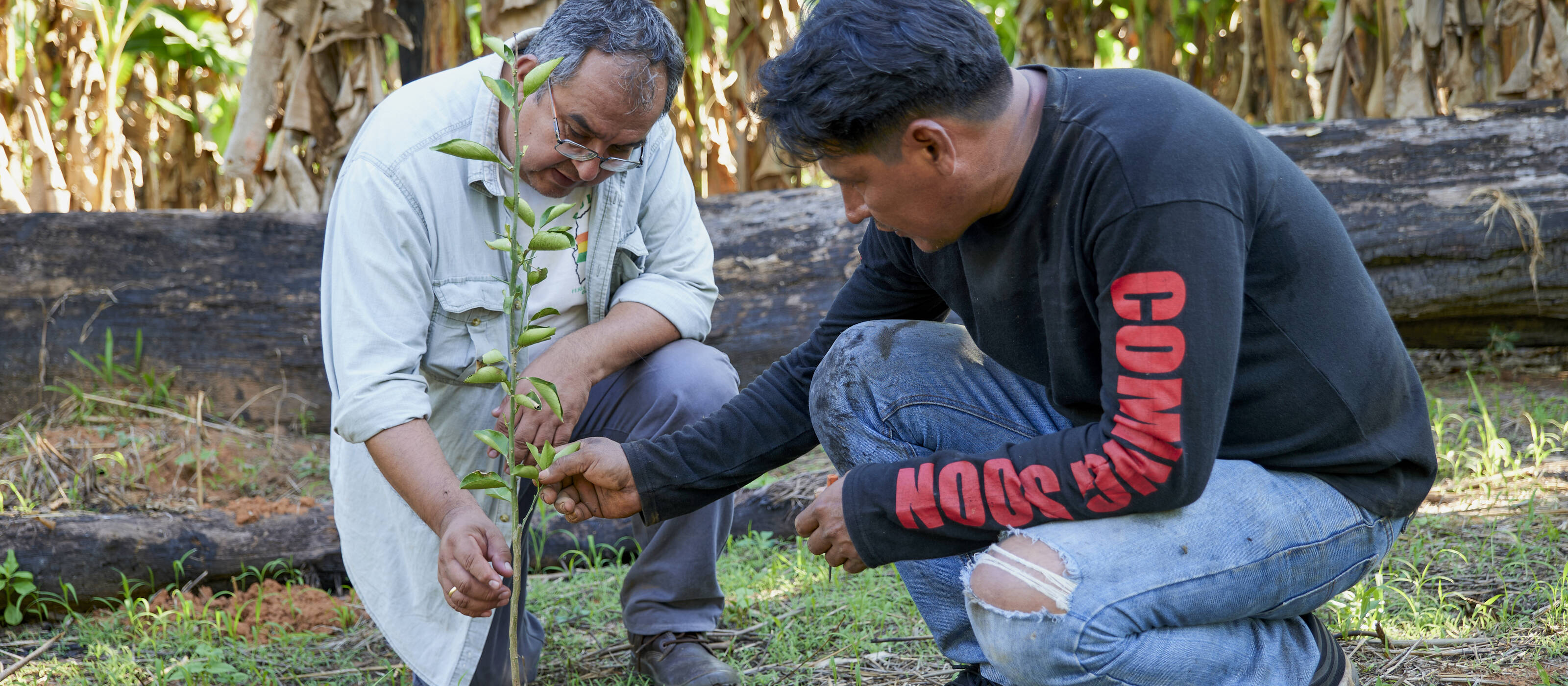Projet de reboisement en Bolivie