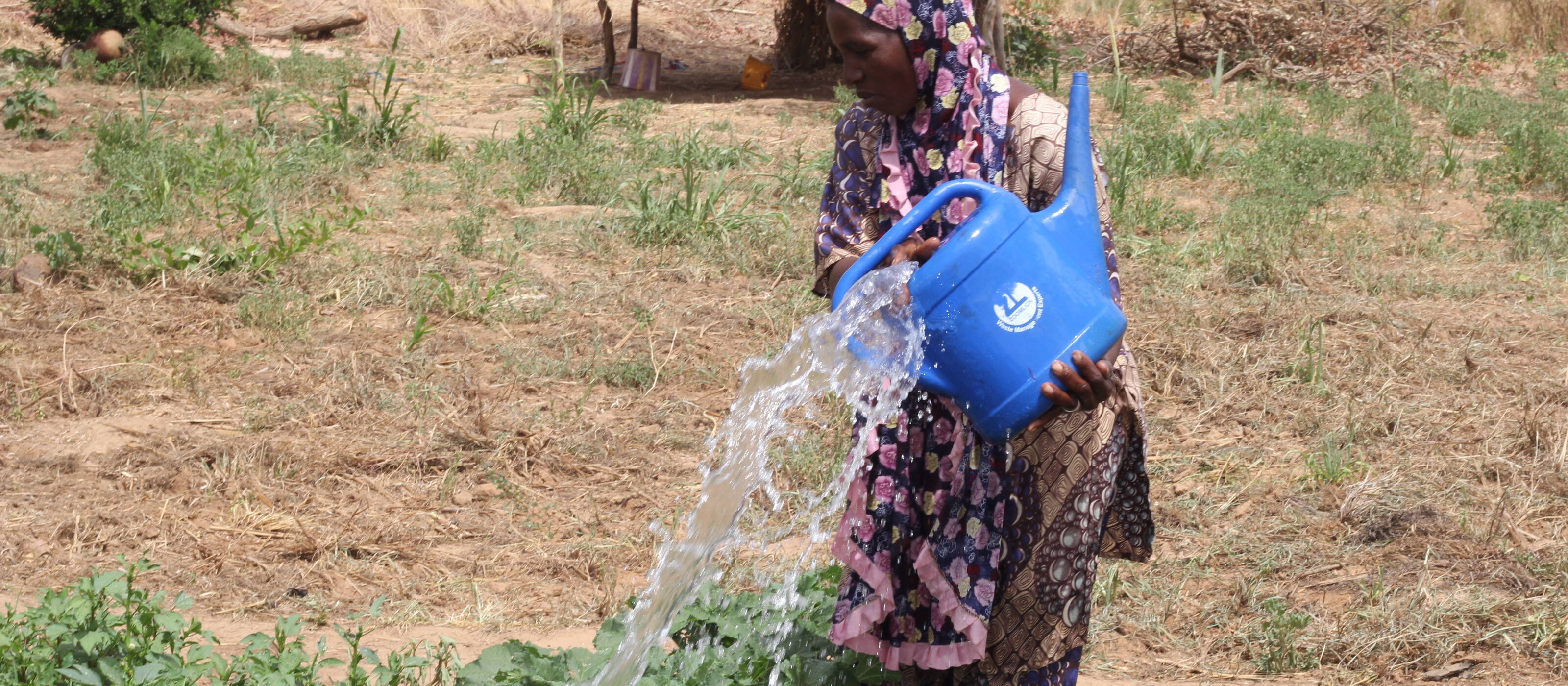 Coopération au développement au Mali : une agricultrice arrose son potager.
