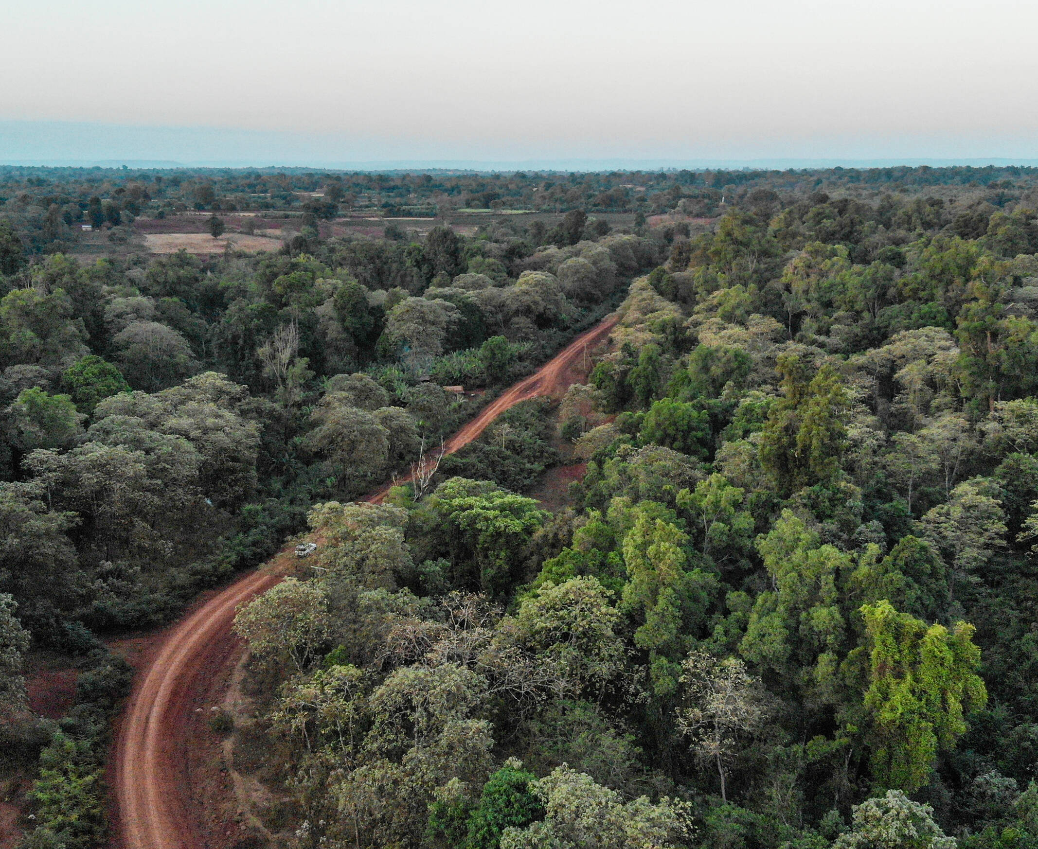 The Harenna Forest is one of the world’s unique forest ecosystems.