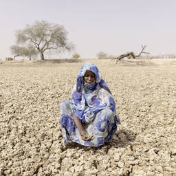 La siccità lascia la popolazione del Ciad sprovvista di tutto. Caritas fornisce aiuti di emergenza e sostegno a lungo termine.