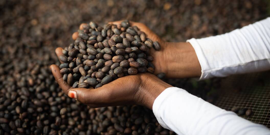 Der Kaffeeanbau bietet vielen Bäuerinnen und Bauern in Äthiopien eine wichtige Existenzgrundlage. 