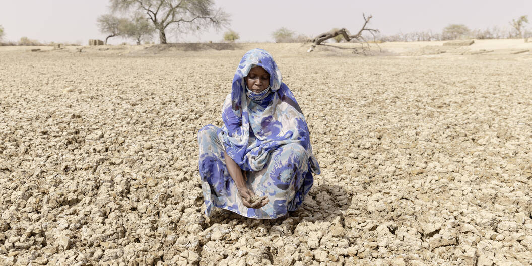 Die Dürre im Tschad fordert von den Menschen alles ab. Die Caritas leistet Nothilfe und langfristige Unterstützung.