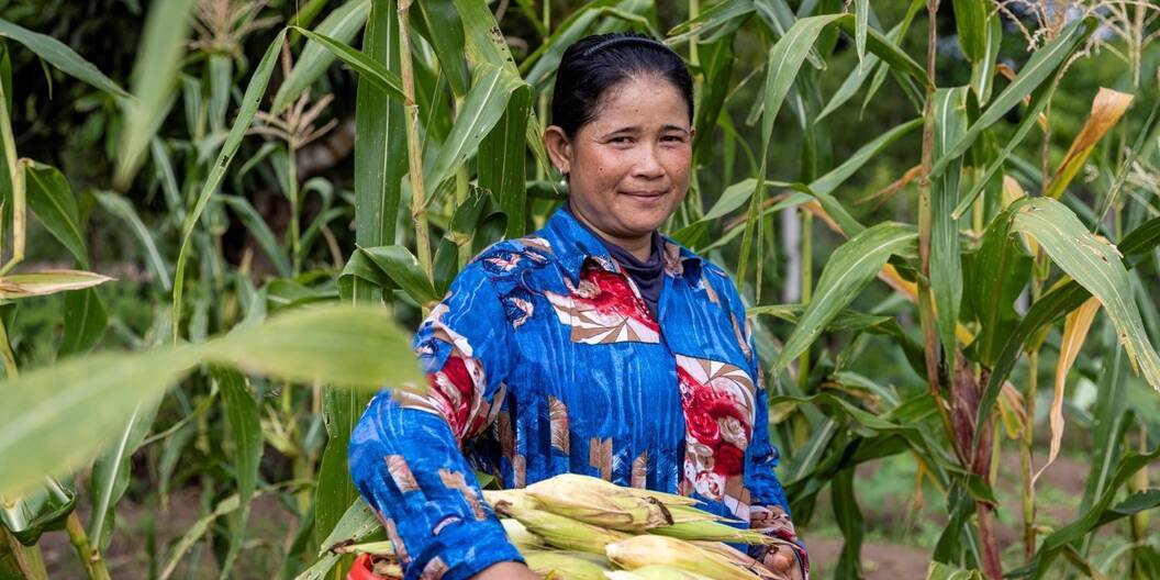 Enhancing the resilience of their agroecosystem to climate change is crucial for farmers and vulnerable communities; Cambodia