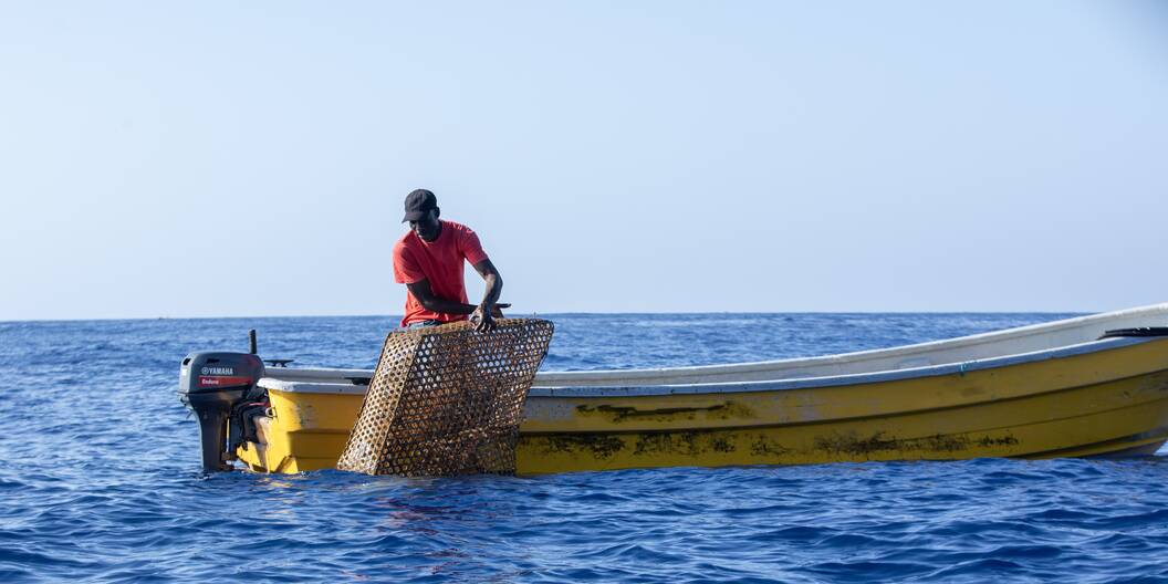 Une pêche sélective qui préserve les stocks halieutiques, de l’énergie solaire pour refroidir et conserver le poisson et de meilleures conditions pour la vente créent de nouvelles opportunités pour les habitants de Belle-Anse en Haïti.