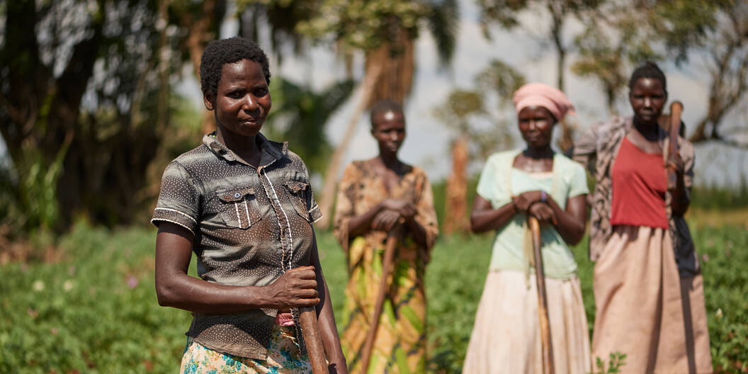 Bäuerinnen auf einem Kartoffelacker im Yumbe-Distrikt in Uganda, nahe des Dorfes Kabucan.