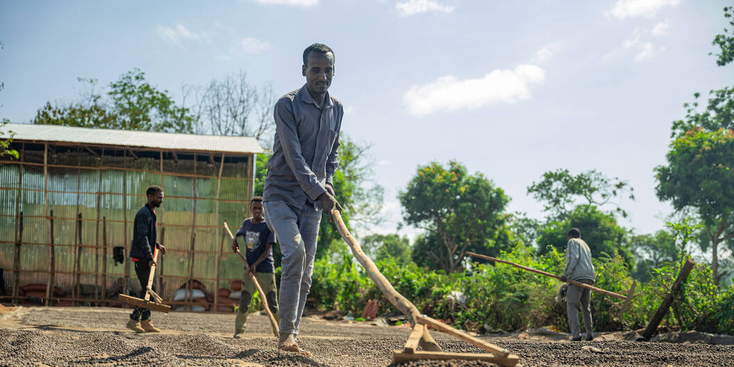 Mit dem Projekt «Beyond Bale Wild» fördern wir klimaresiliente, inklusive und nachhaltige Lebensgrundlagen für Kleinbäuerinnen und Kleinbauern in der Bale-Region Äthiopiens.