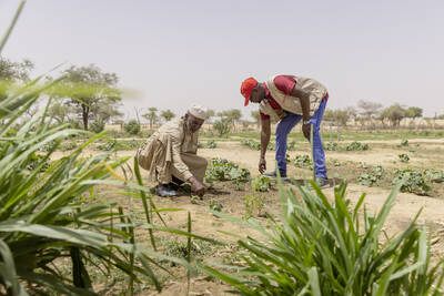 Corsi di formazione in pratiche di coltivazione sostenibile: le famiglie contadine apprendono le conoscenze necessarie per coltivare i campi nonostante la siccità.
