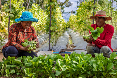 Gemeinsam mit unserem Projektteam denken Sophea und Romodol die Landwirtschaft im Nordwesten Kambodschas neu.